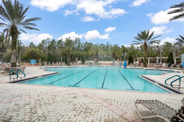 view of swimming pool with a patio