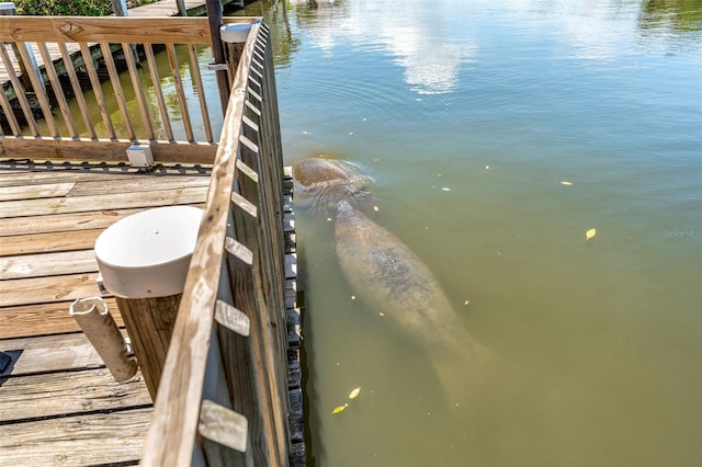 view of dock with a water view