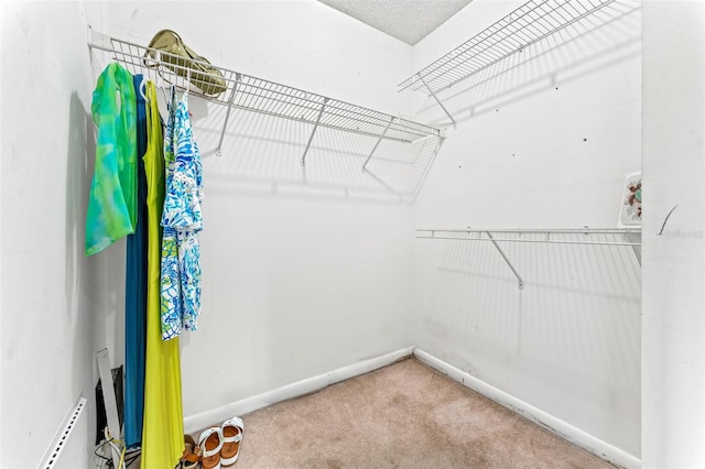 walk in closet featuring carpet flooring