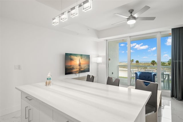 dining space with ceiling fan