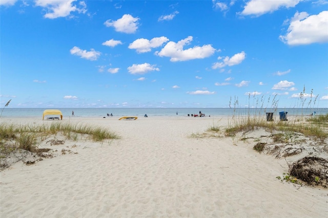 water view featuring a beach view