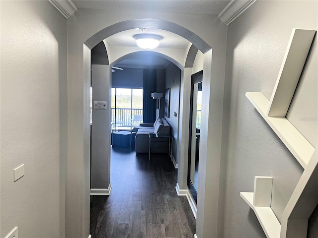 hall with dark hardwood / wood-style floors