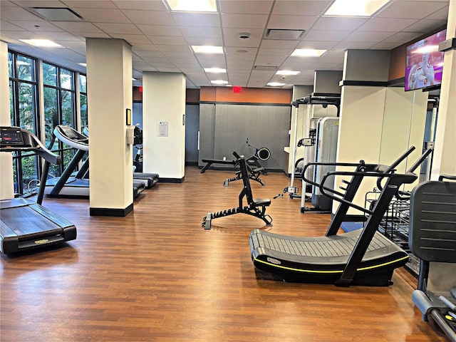 gym with hardwood / wood-style floors, a drop ceiling, and a wall of windows