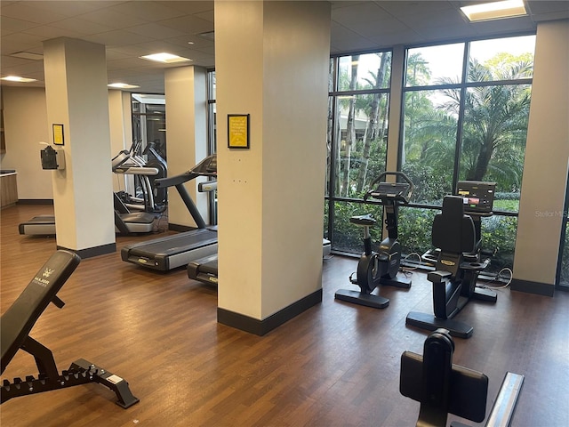 gym with dark wood-type flooring, a wall of windows, and a paneled ceiling