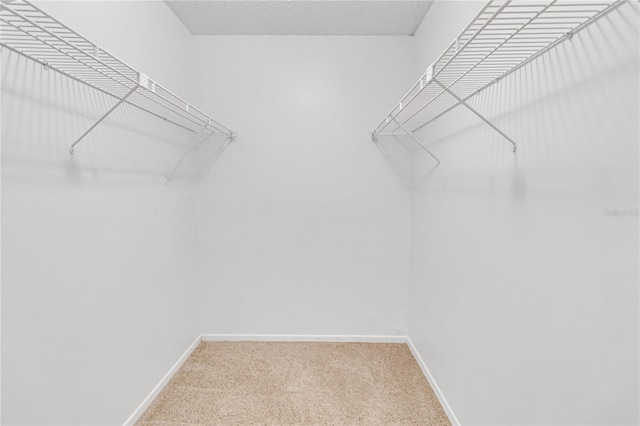 spacious closet featuring carpet floors