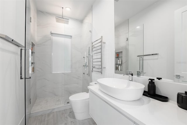 bathroom featuring toilet, vanity, and an enclosed shower