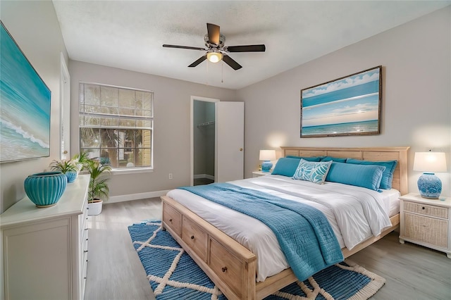 bedroom with ceiling fan, light hardwood / wood-style flooring, and a walk in closet