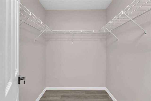 walk in closet featuring hardwood / wood-style floors