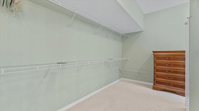 walk in closet featuring carpet