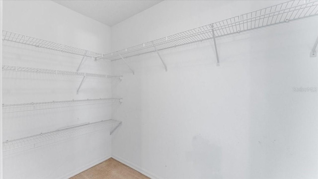 spacious closet featuring light carpet