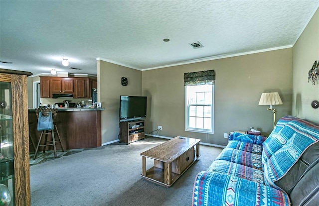 living room featuring crown molding, a textured ceiling, and carpet flooring