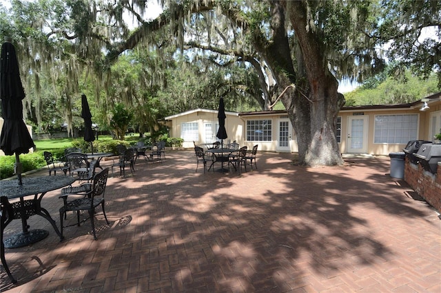 view of patio / terrace with exterior kitchen