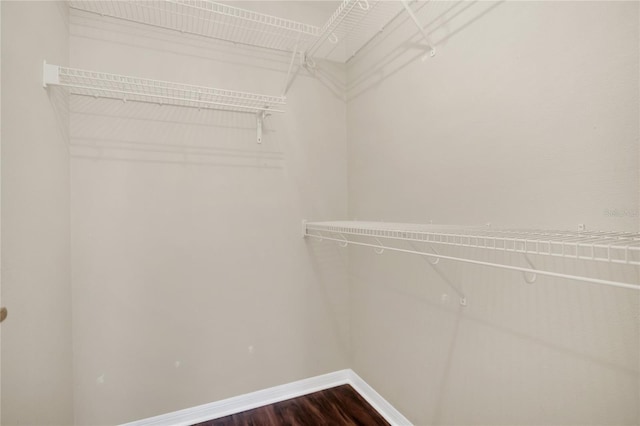 spacious closet featuring hardwood / wood-style floors