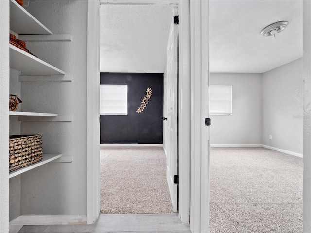 interior space with light carpet