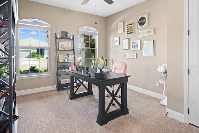 office space featuring carpet floors and ceiling fan