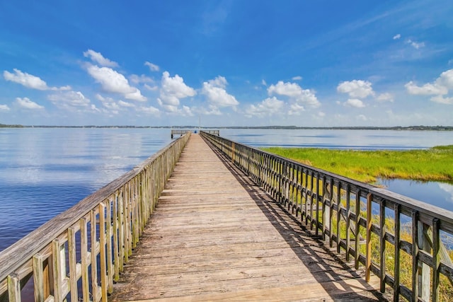 dock area with a water view