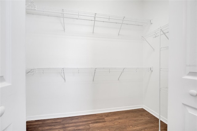 spacious closet featuring dark hardwood / wood-style flooring