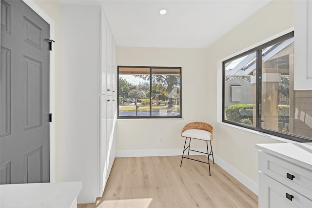 living area featuring light hardwood / wood-style flooring