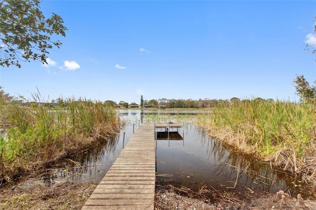 dock area with a water view