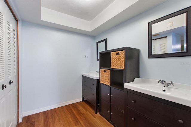 bathroom featuring a raised ceiling, hardwood / wood-style flooring, and vanity