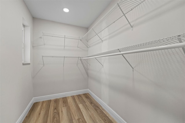 spacious closet with hardwood / wood-style floors