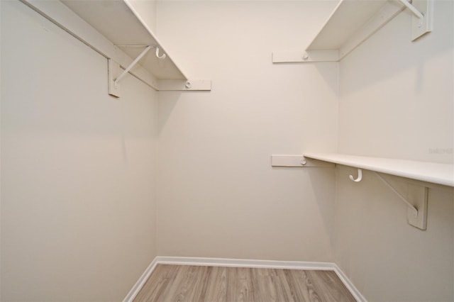 spacious closet with wood-type flooring