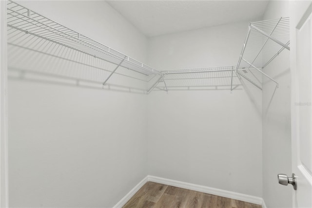 spacious closet featuring hardwood / wood-style floors