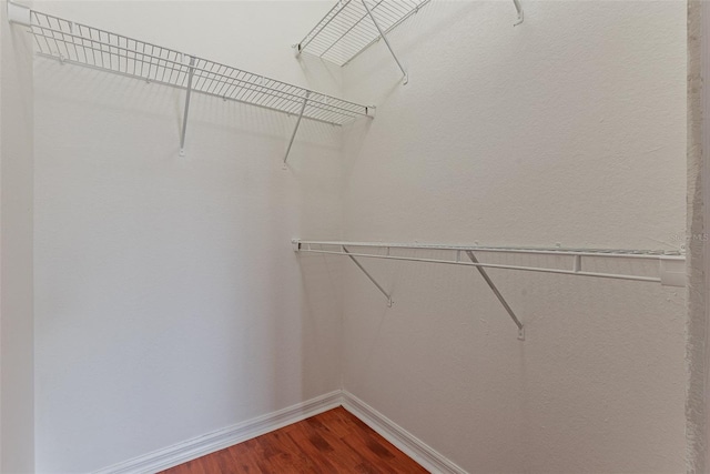 spacious closet with hardwood / wood-style flooring