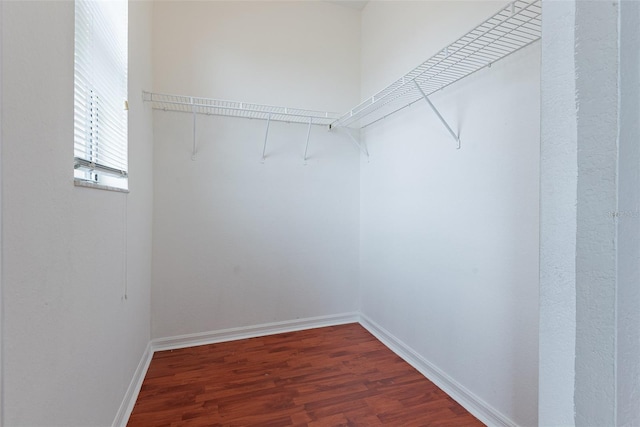 spacious closet with dark wood-type flooring