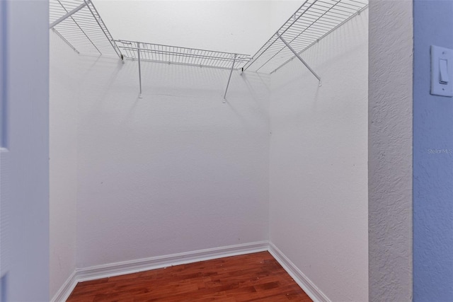 walk in closet featuring hardwood / wood-style floors