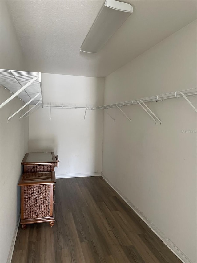 spacious closet with dark hardwood / wood-style flooring