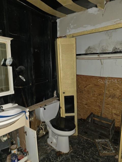 bathroom with toilet and vanity