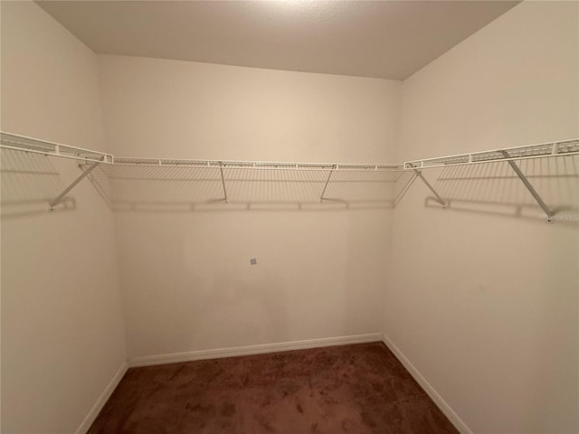 spacious closet featuring dark colored carpet