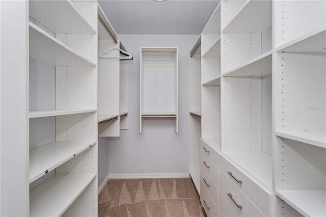 walk in closet featuring carpet floors