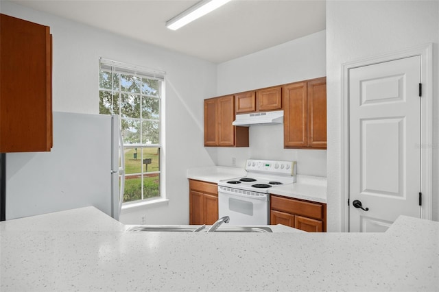 kitchen with sink, white appliances, and a wealth of natural light