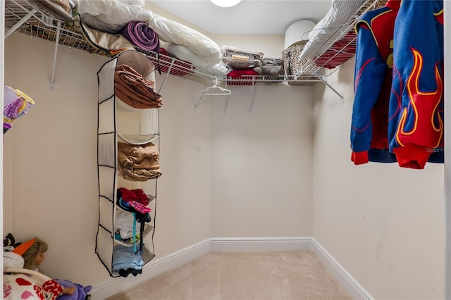 spacious closet featuring carpet floors