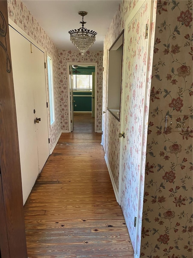 hall with dark hardwood / wood-style flooring and a chandelier