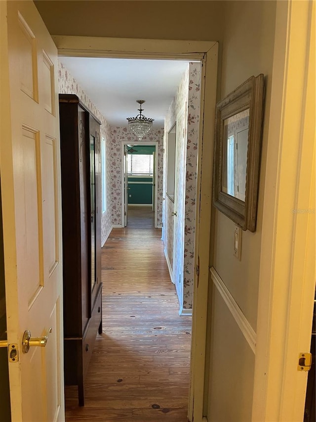 hallway with hardwood / wood-style floors