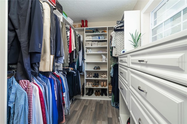 spacious closet featuring dark hardwood / wood-style floors