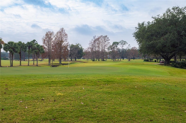 view of home's community featuring a yard