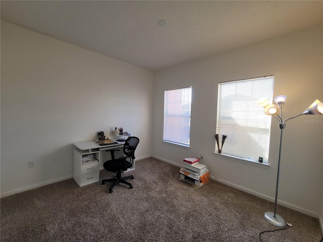 12216 Wild Iris Way Unit 112, Orlando, FL 32837 - unfurnished office featuring baseboards and carpet floors