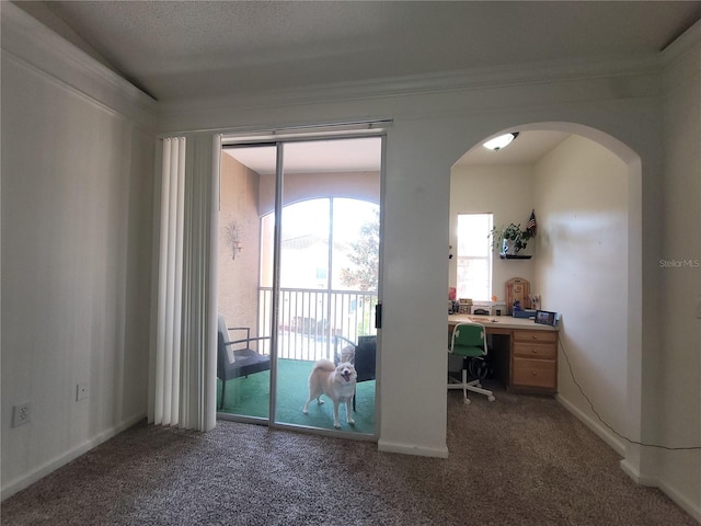12216 Wild Iris Way Unit 112, Orlando, FL 32837 - unfurnished office with carpet flooring, arched walkways, crown molding, and baseboards