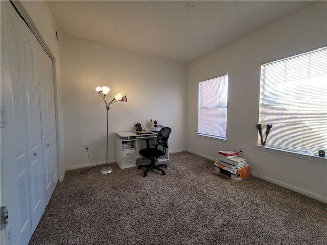 12216 Wild Iris Way Unit 112, Orlando, FL 32837 - office area featuring baseboards and carpet floors