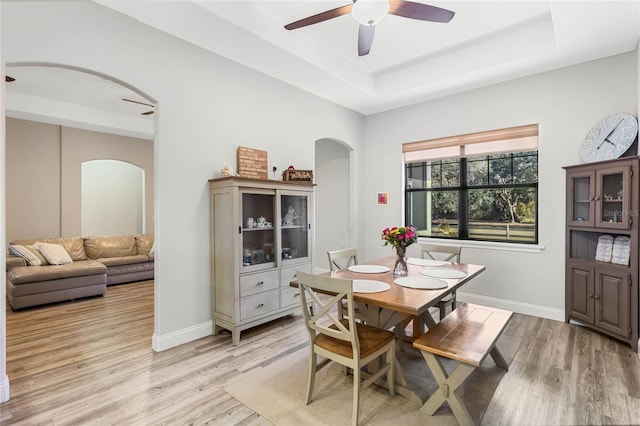 dining room featuring a raised ceiling, ceiling fan, and light wood-type flooring