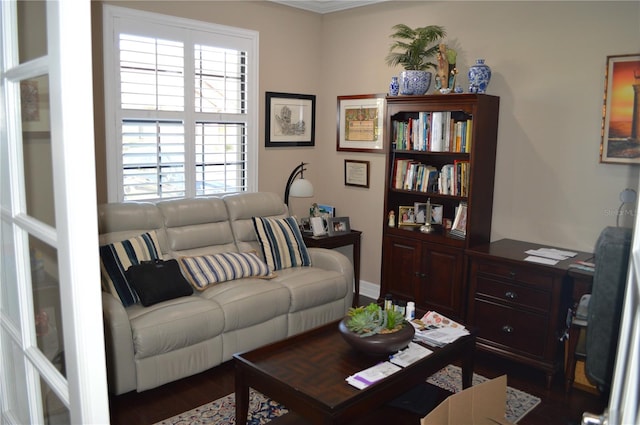 living room featuring dark hardwood / wood-style floors