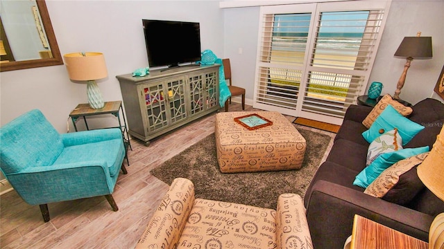 living room featuring hardwood / wood-style flooring