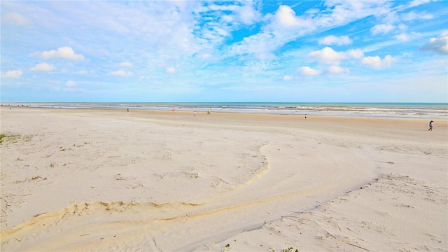 water view featuring a beach view