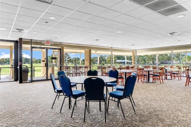 dining space featuring carpet floors, expansive windows, and a paneled ceiling