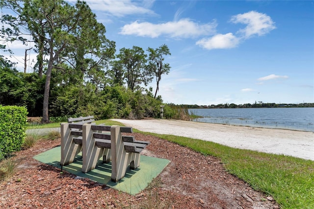 view of home's community with a water view and a beach view