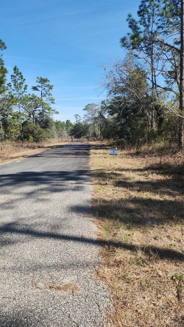 Near Road SW, Buena Vista Rd Road, Dunnellon FL, 34431 land for sale